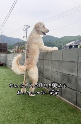 隠しきれないおっさん感