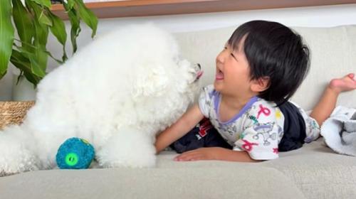 寝そべる息子さんとむぎくん