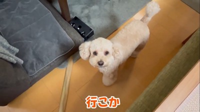 「早く行きたい」とお目目をキラキラ♪