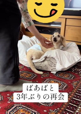 立ち上がろうとするなっちゃん