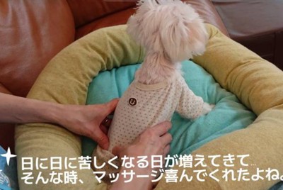 心良ちゃんをマッサージ