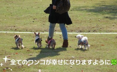 温かな思い出に…