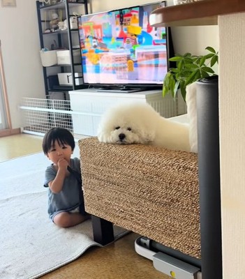 顔が似ているふたり