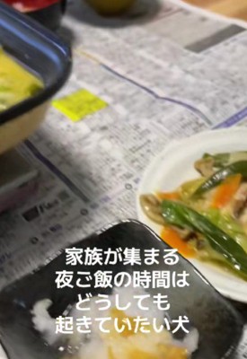 家族の食事に参加するも…