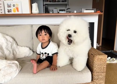 ぬいぐるみのようなむぎくん