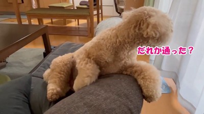 なぜか窓の外を確認