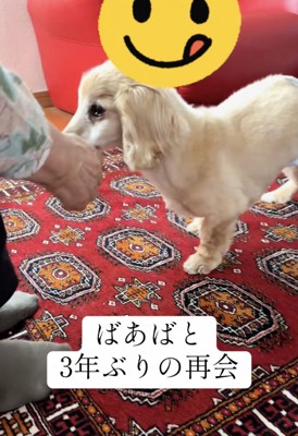 おばあちゃんのこと、絶対に覚えてる