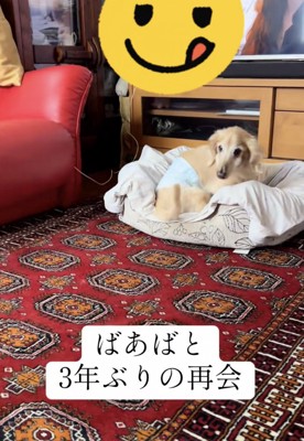 よいしょ、よいしょ…!