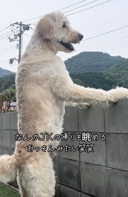 人間味が溢れすぎてる