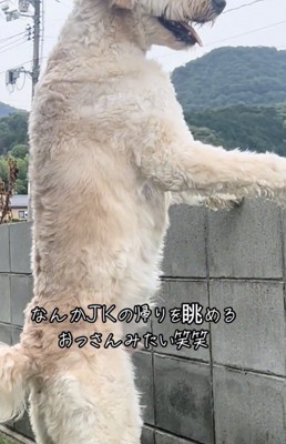 見事に伸びている背筋