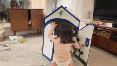 手を噛まれてしまいました！