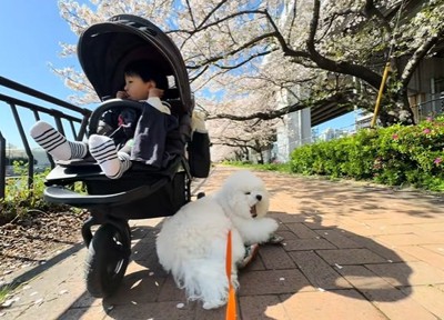 桜の木の下のふたり