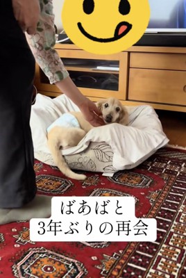 ナデナデも久しぶり