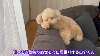 のんびりリラックス中
