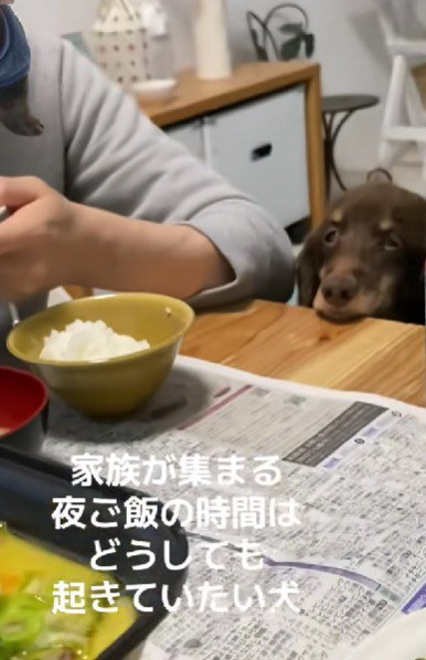 みんなの様子をじっと見守る