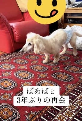 一歩一歩、おばあちゃんのそばへ