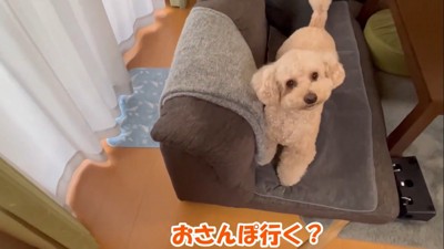 次の日も誘ってみたら…