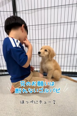 頬を指差す男の子