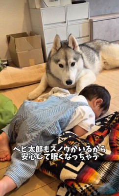 寝てしまった赤ちゃん