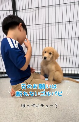 戸惑う子犬