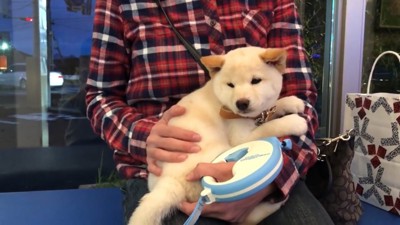 初めての病院で不安そうなノンくん
