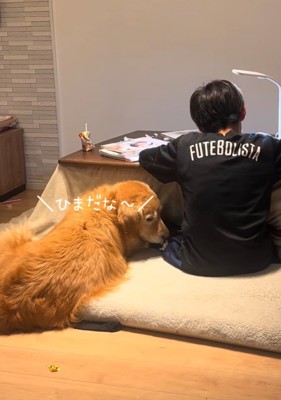 隣に座る犬2