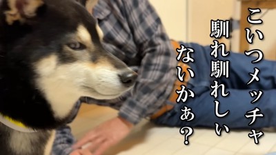 不快そうな表情に