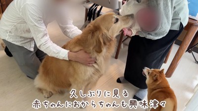 気になって仕方ない…