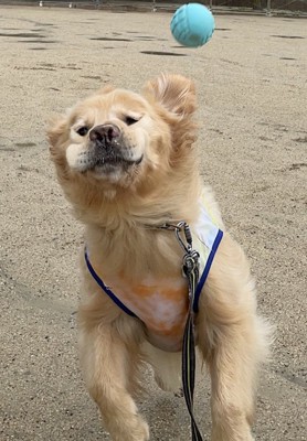 失敗