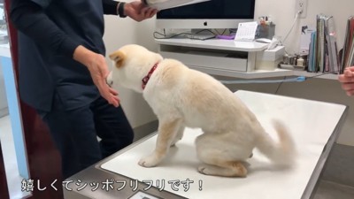 すっかり先生が大好きに♪