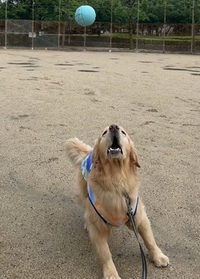 投げる