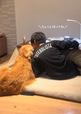 犬吸い
