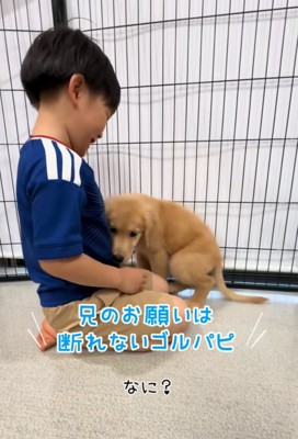 隣に座る子犬