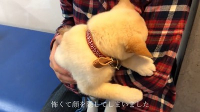 診察後は隠れてしまいました!