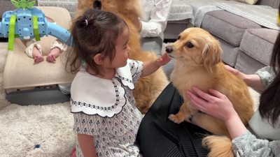 「可愛い!」