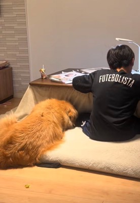 隣に座る犬