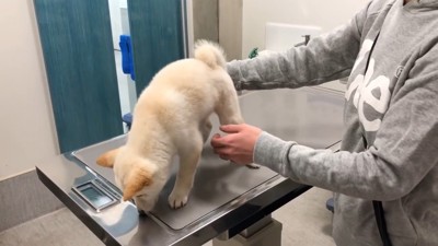 2回目もソワソワ…