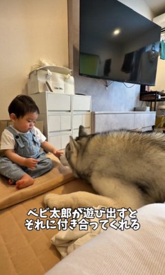 遊びに付き合うスノウくん