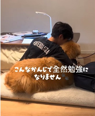 犬を抱きしめる男の子