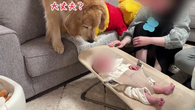 甲斐甲斐しく面倒を見る