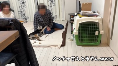 急に甘えん坊モード♡