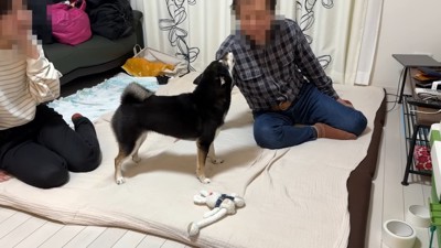 今度はお喋り開始♪