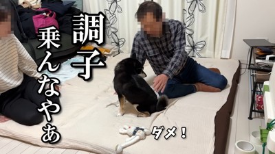 触るのはNG…