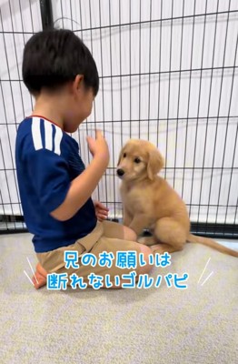 隣に座る子犬