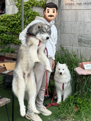 まるで別犬のよう！？
