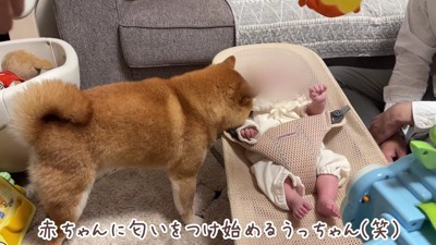 みんなで赤ちゃんの見守り♡