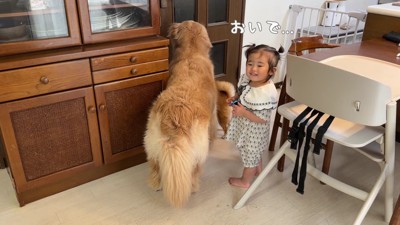 誰かが来た!!