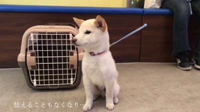 3回目はリラックスして待機