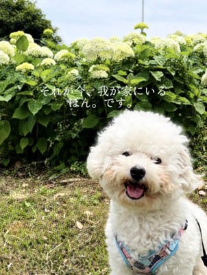 無事にお迎え。