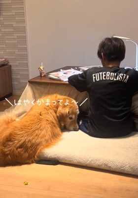 隣で待つ犬